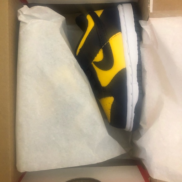 Nike Dunk Low Michigan (TD) Size 4C - Picture 5 of 9